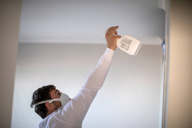 Best Mold Testing  in Concord, MO