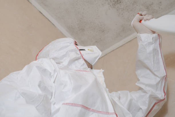 Best Office Mold Removal Services  in Concord, MO